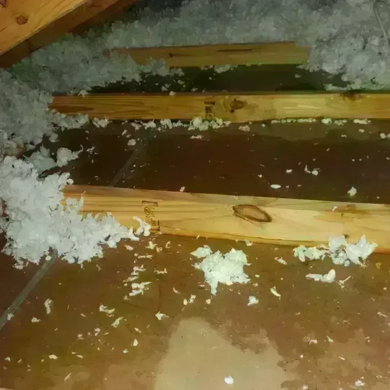 Attic Water Damage in University, MS