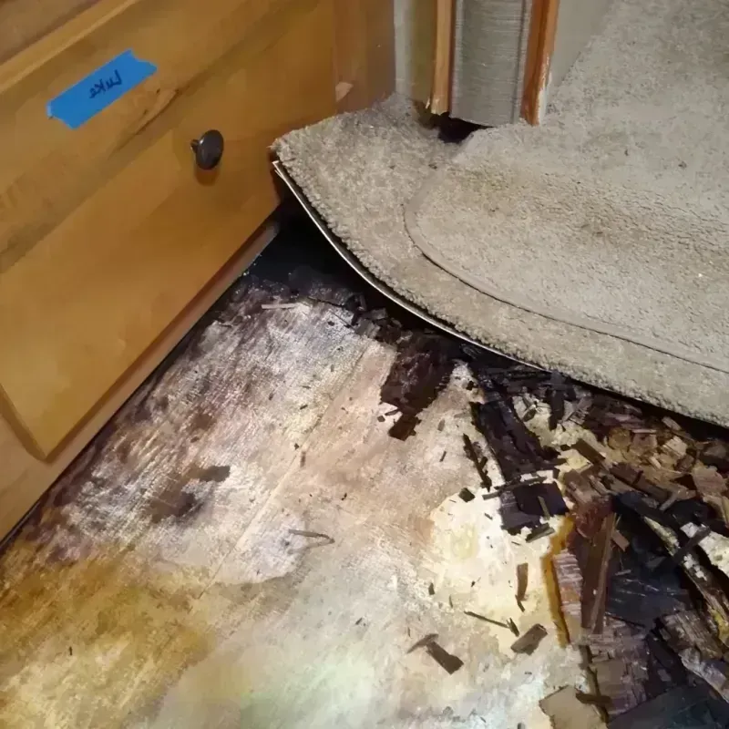 Best Wood Floor Water Damage Service in University, MS